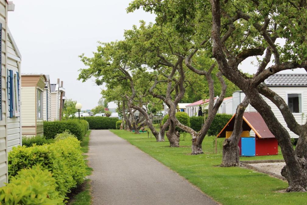 Siblu Camping In De Bongerd Oostkapelle Exterior foto